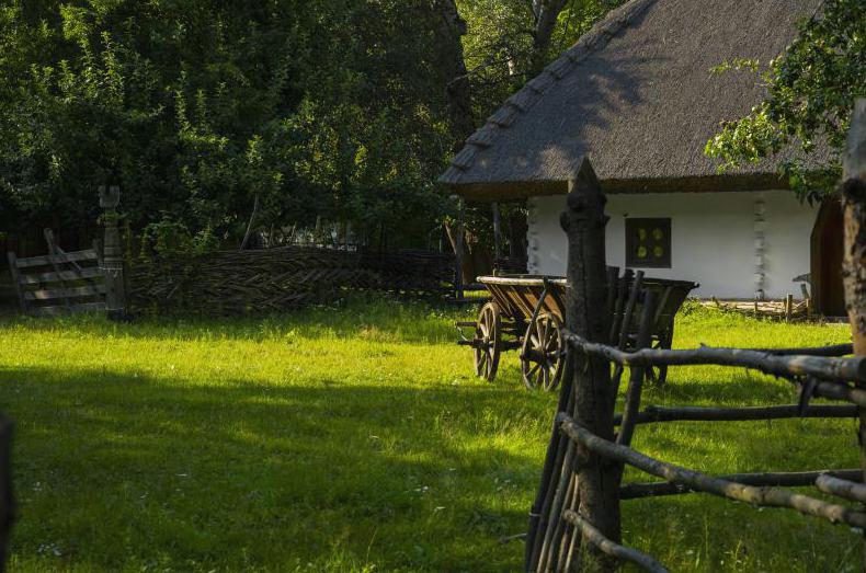Piękny widok na wieś w Polsce
